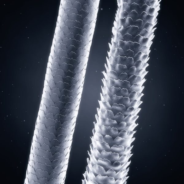 Unlocking the Science Behind Keratin Revolution: Transforming Your Hair from Within